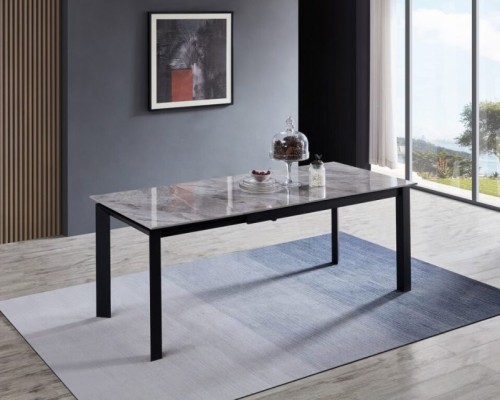 RF1119DT Table